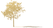 Arbor Dental Associates